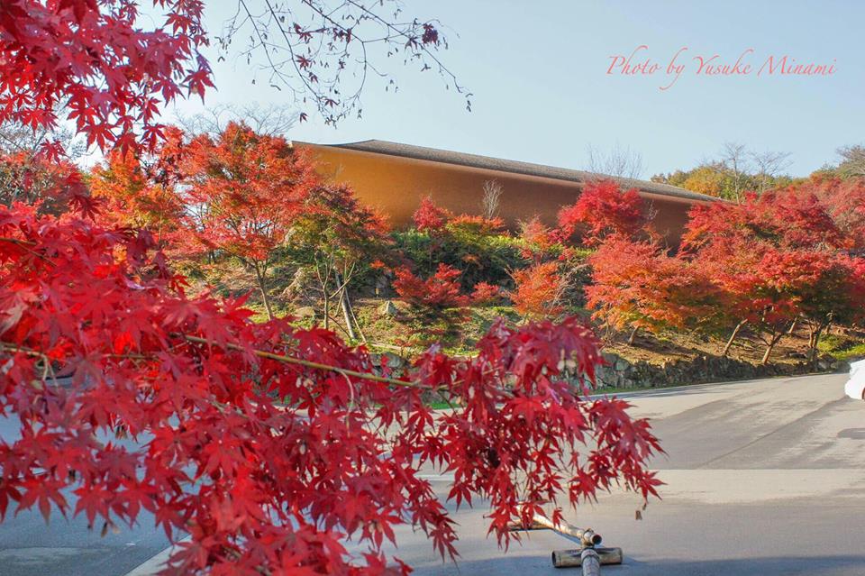 【福山市紅葉スポット】福山でオススメ!2017秋の紅葉をみるなら神勝禅寺/広島県福山市