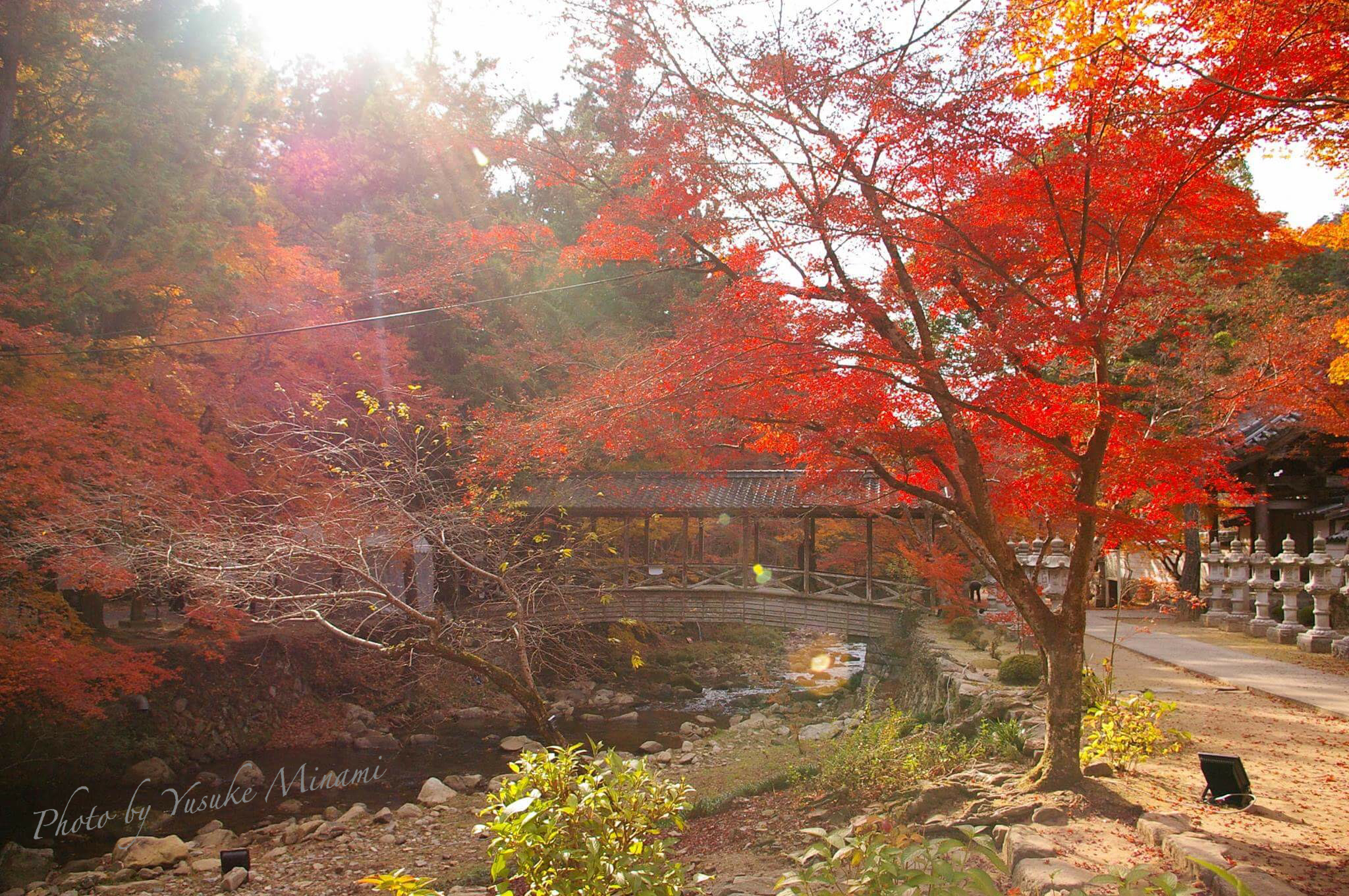 【紅葉名所】 2017佛通寺の紅葉のみごろはいつ??ライトアップもあるよ!/広島県三原市