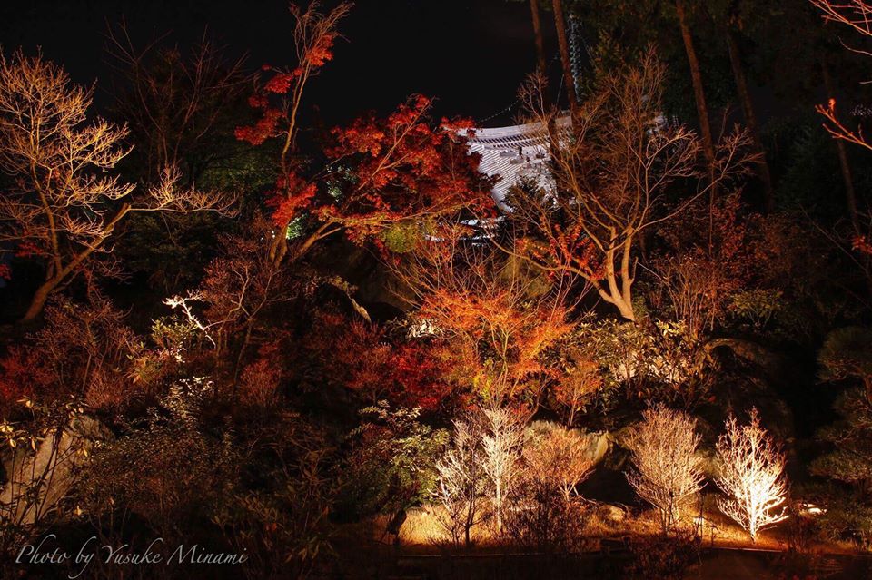 神勝禅寺の紅葉ライトアップ、2017年11月の週末に開催!夜の紅葉景色はどんな感じ!?/広島県福山市