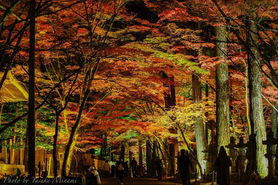 【三原市紅葉スポット】2017佛通寺の紅葉ライトアップはどんな感じ?/広島県三原市