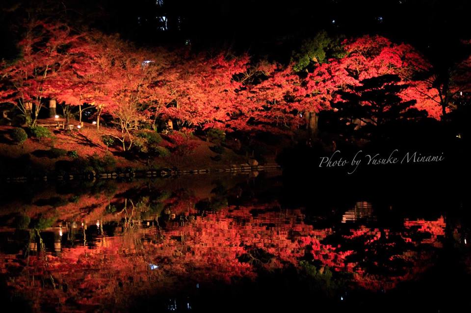 【広島紅葉スポット】名勝縮景園の紅葉ライトアップ2018は11月23日から12月2日まで/広島県広島市