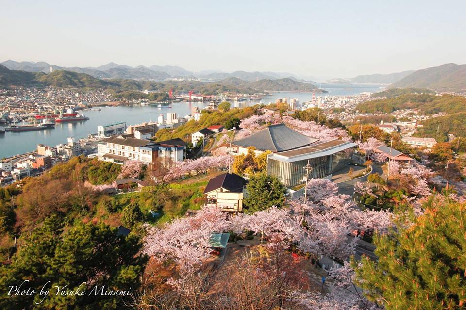 【2019尾道市桜名所11選】オススメお花見桜スポットをまとめて紹介、2019年の開花や見ごろはいつ?/広島県尾道市