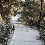 【雪道】 太子殿～珍しき雪の山道～／広島県福山市鞆の浦
