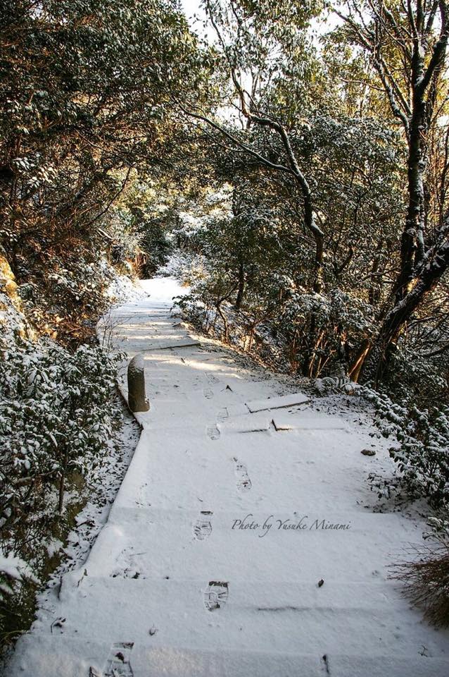 【雪道】 太子殿～珍しき雪の山道～／広島県福山市鞆の浦