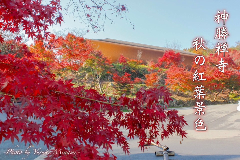 【神勝禅寺】秋におすすめ！福山市の紅葉スポットはここだ！／広島県福山市