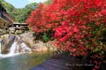 【三郎の滝2017】府中市の三郎の滝で紅葉が見ごろ！紅葉まつりは11月12日開催！/広島県府中市