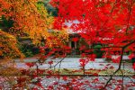 【世羅紅葉スポット】今高野山龍華寺、秋の紅葉景色はどんな感じ？/広島県世羅郡