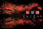【広島紅葉スポット】名勝縮景園の紅葉ライトアップ2023は11月22日から12月２日まで開園！/広島県広島市