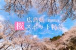 【2020年度版】広島県のおすすめ桜スポット特集（備後版）