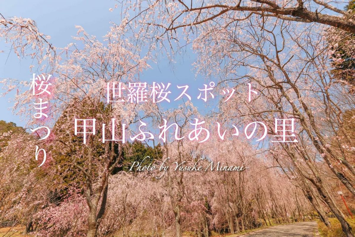 甲山ふれあいの里 世羅の桜スポットで桜まつり 枝垂れ桜の桜並木がおすすめ 広島県世羅郡 備後カメラ部